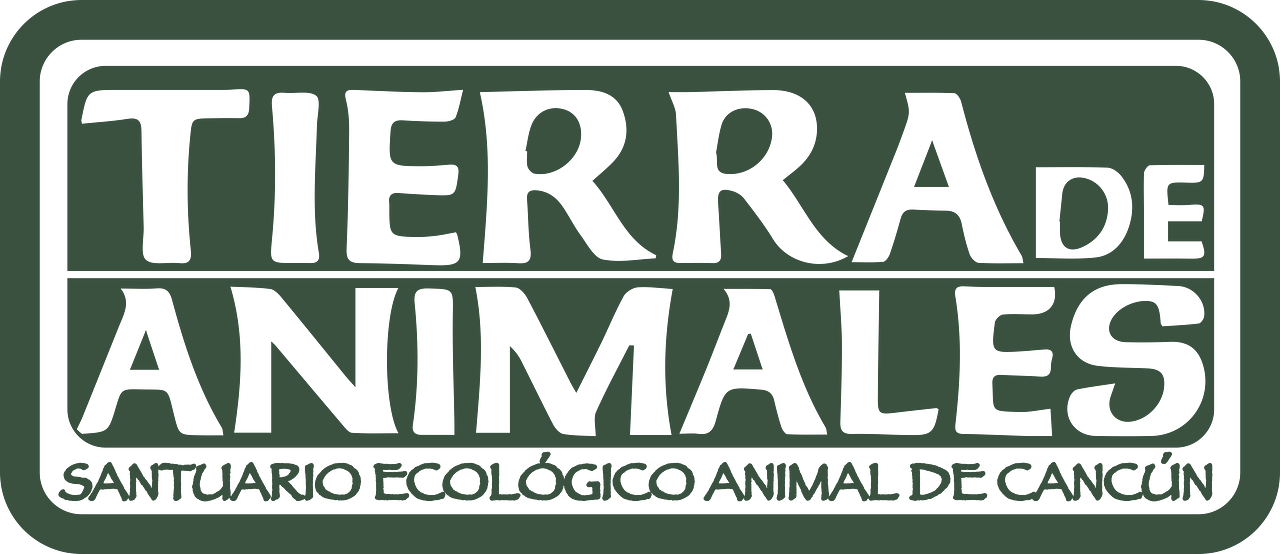 Tierra De Animales