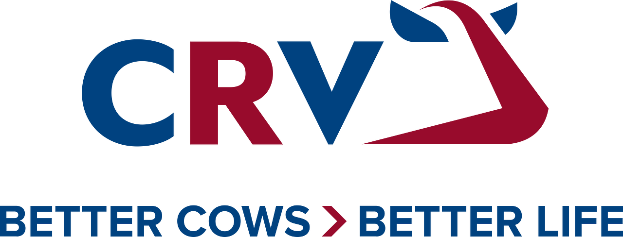 CRV International