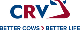 CRV International