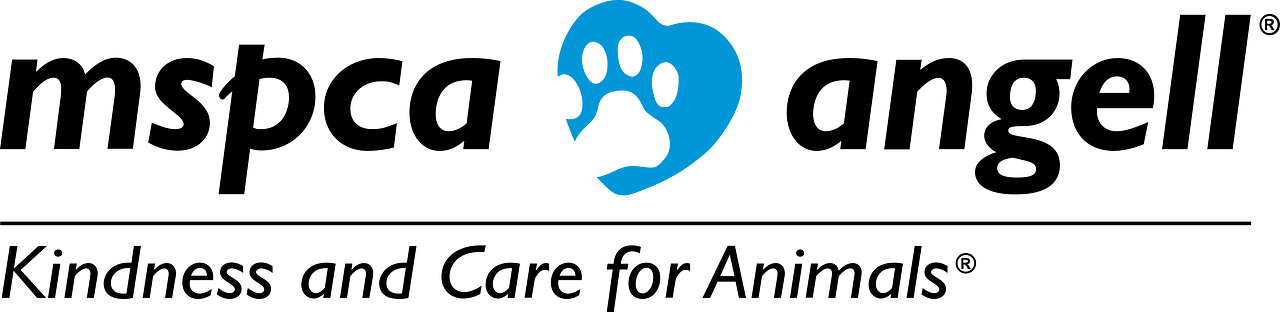The MSPCA Angell