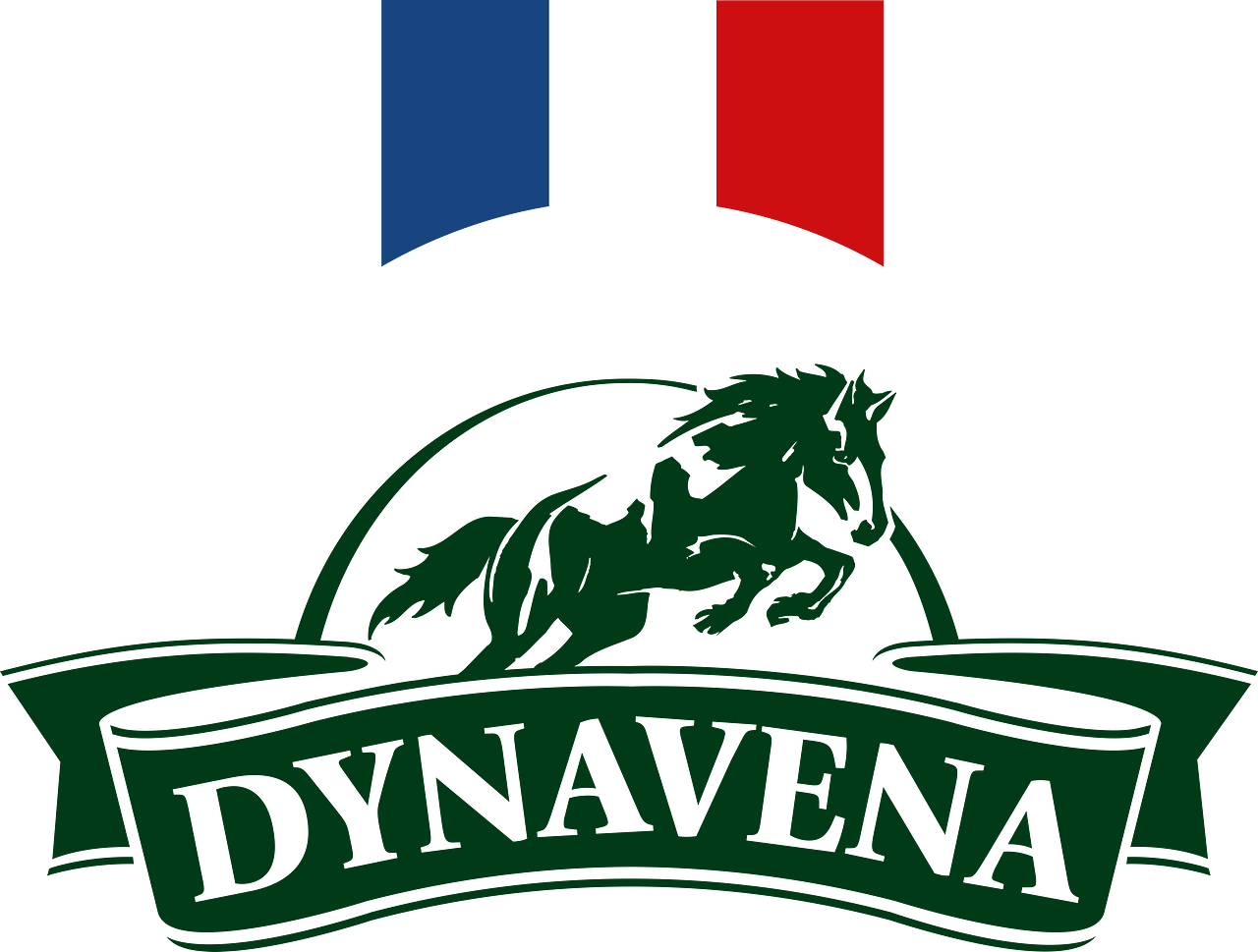 Dynavena