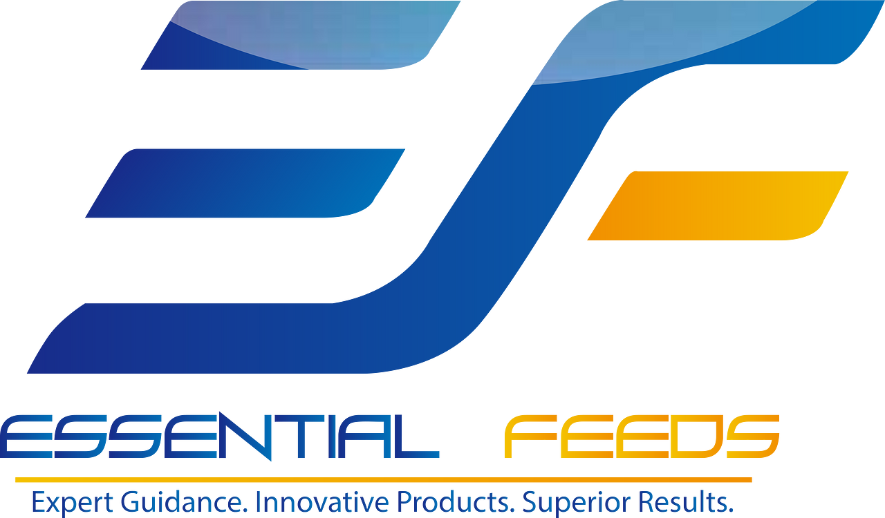 Essential Show Feeds