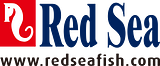 Red Sea