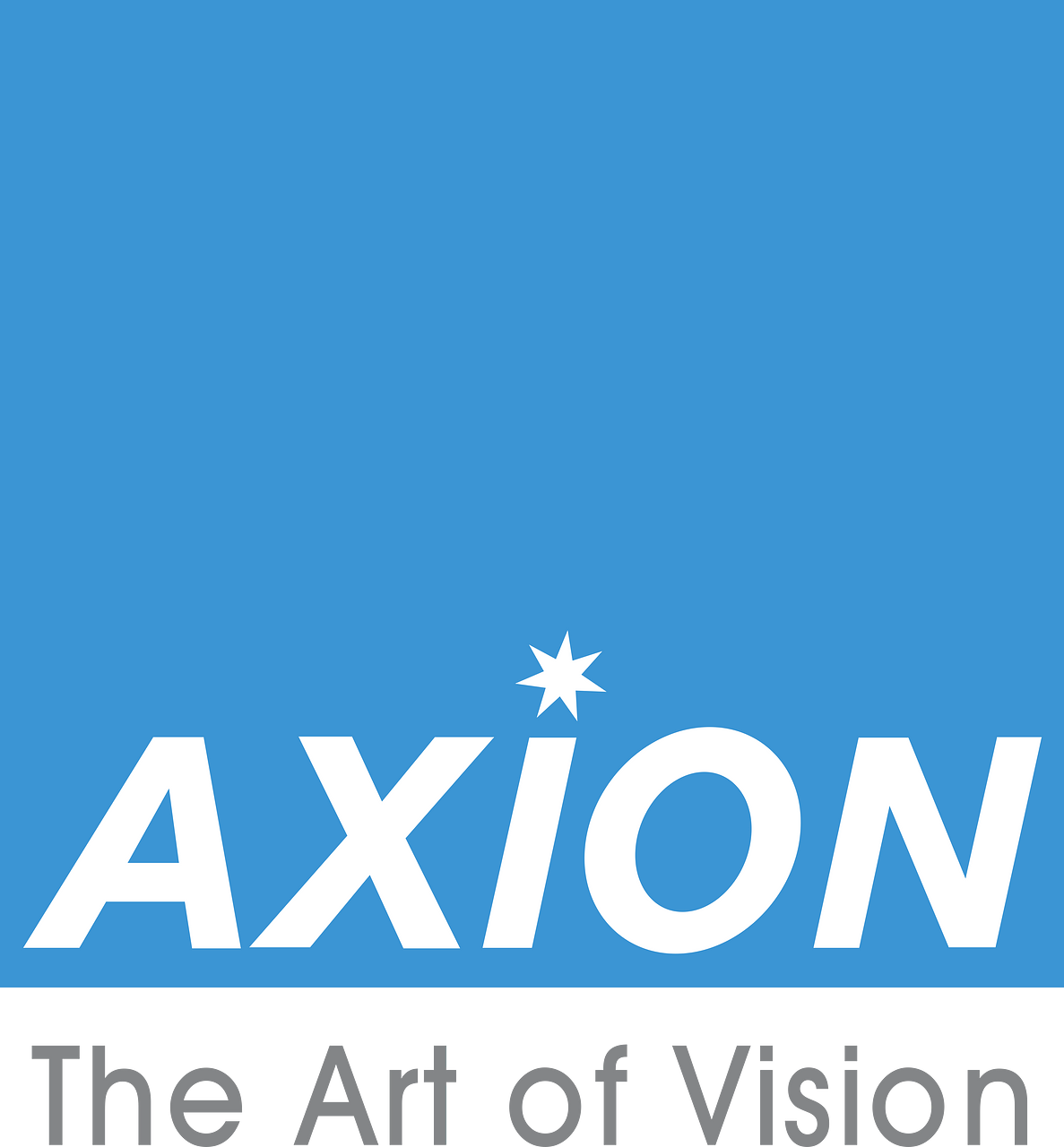 Axion