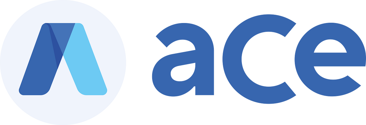 AccessiBe Ace