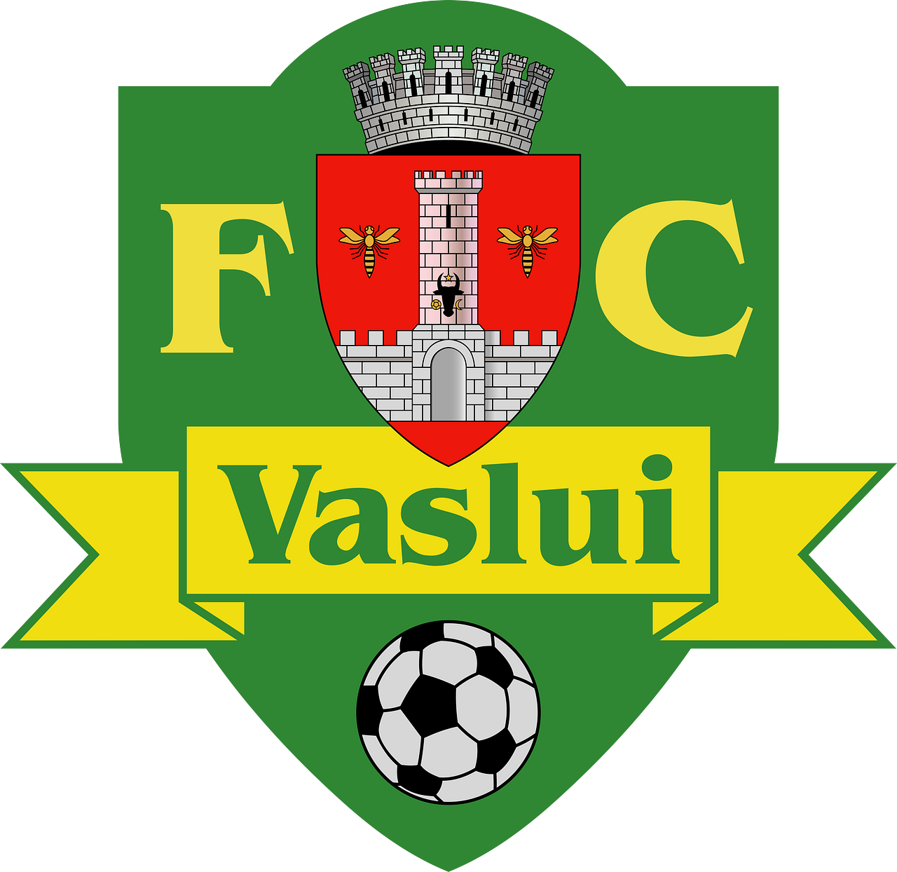 FC Vaslui