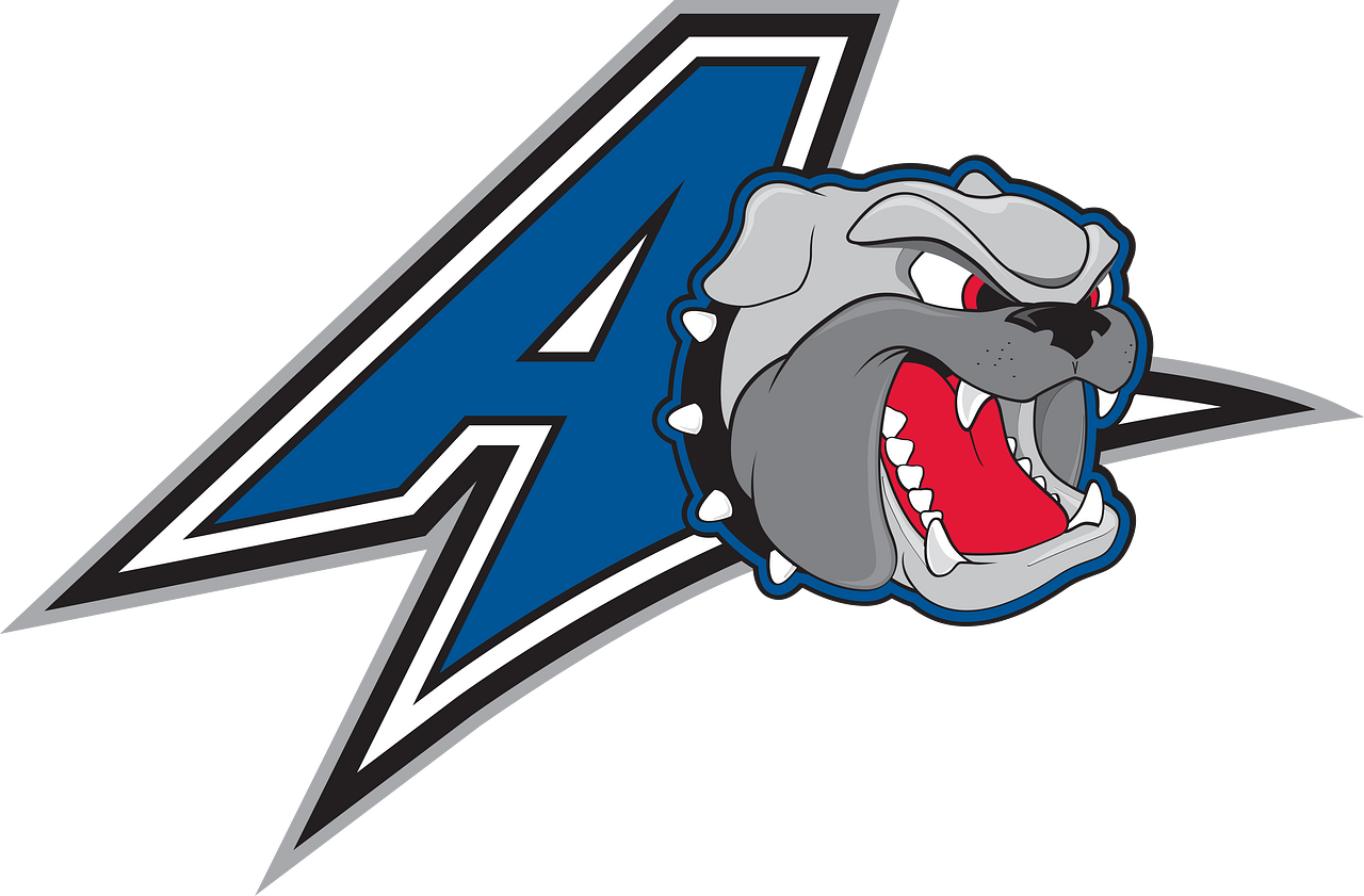 UNC Asheville Bulldogs
