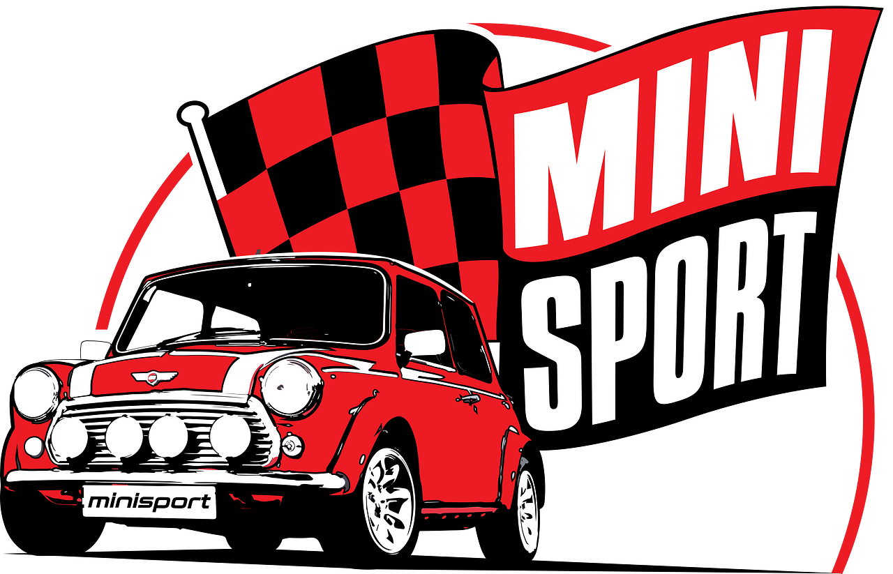 Mini Sport Ltd