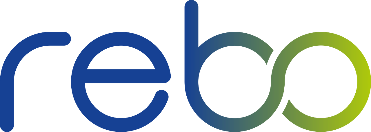 Rebo Lighting