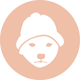Dogwifhat (WIF)