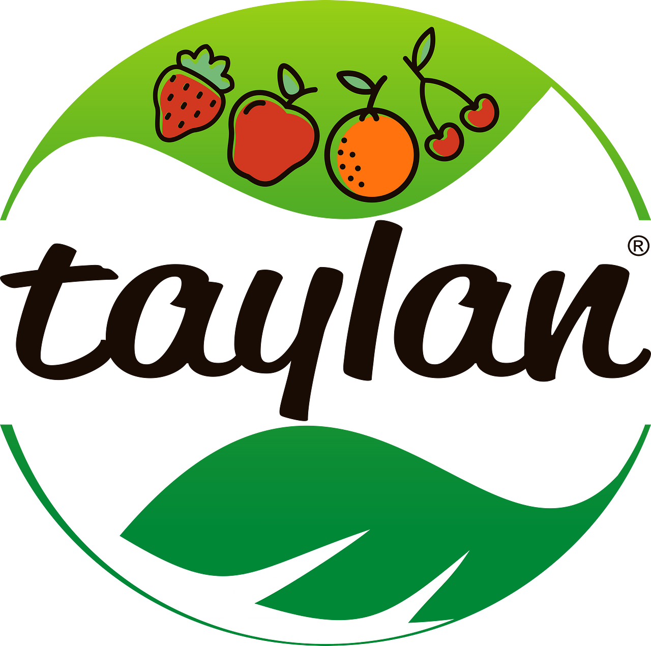 Taylan