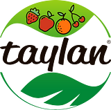 Taylan