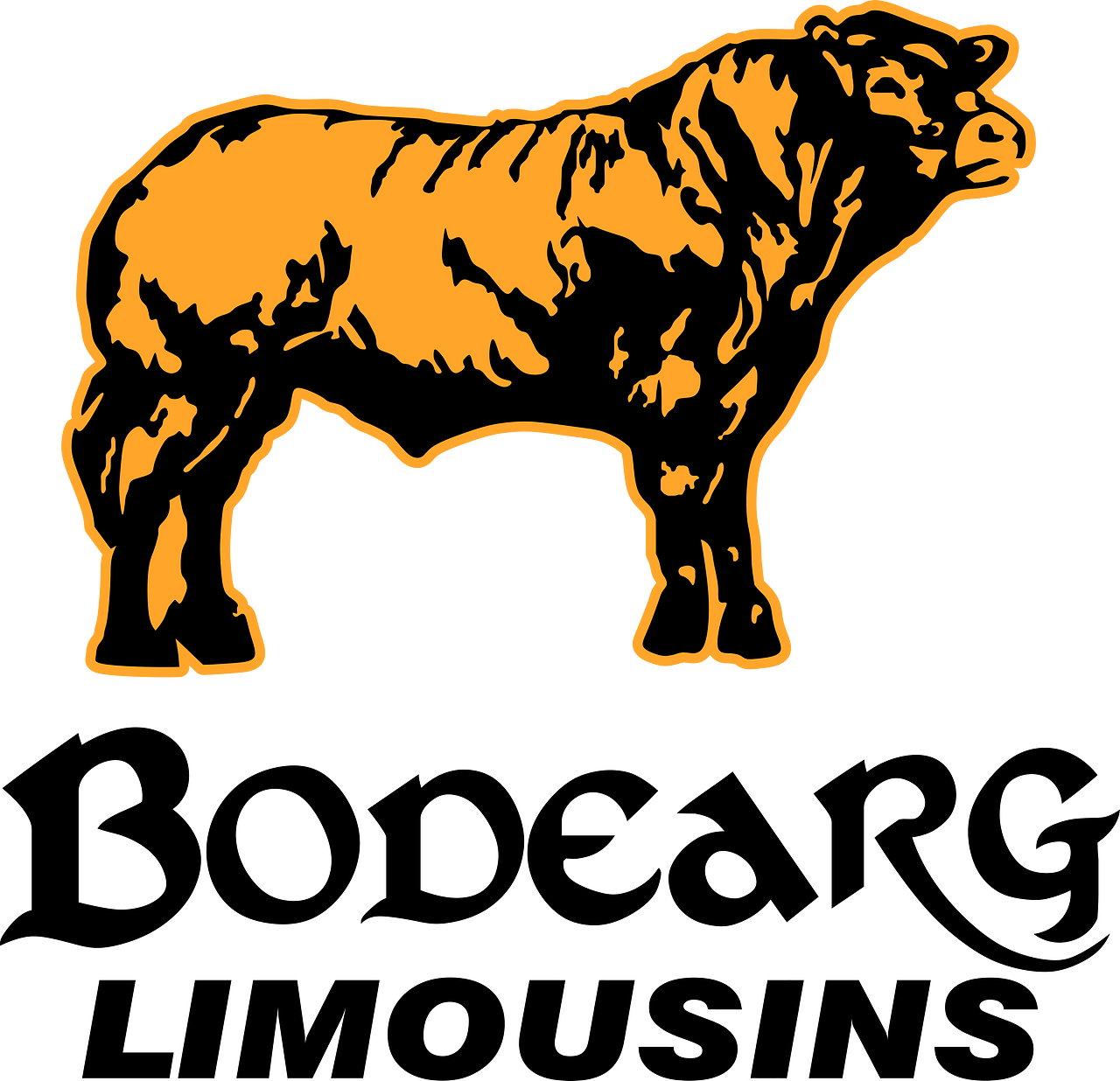 Bodearg Limousins