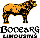 Bodearg Limousins