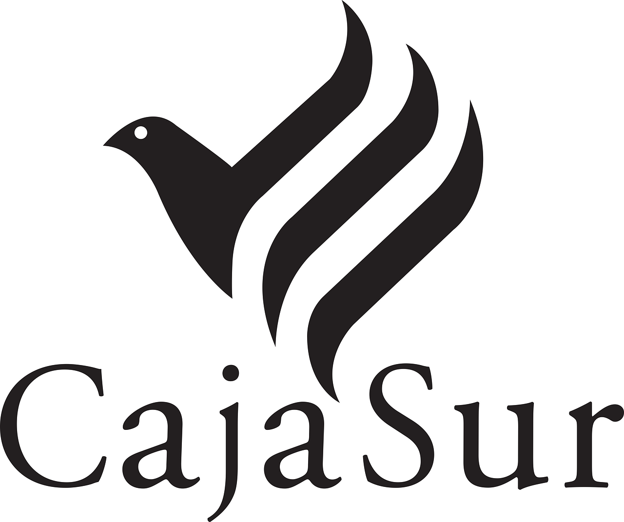 CajaSur