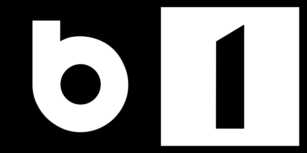 B1 TV