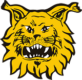 Tampereen Ilves