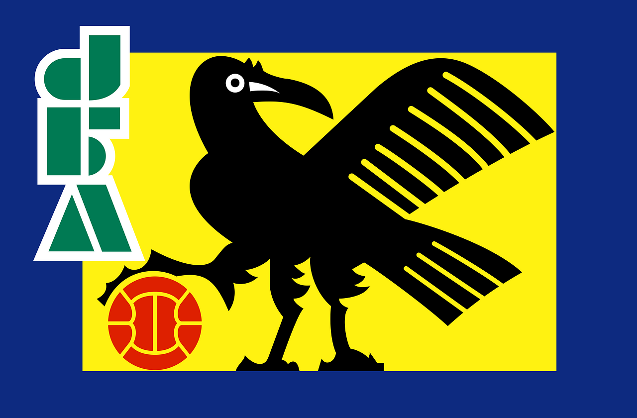 Japan Football Association