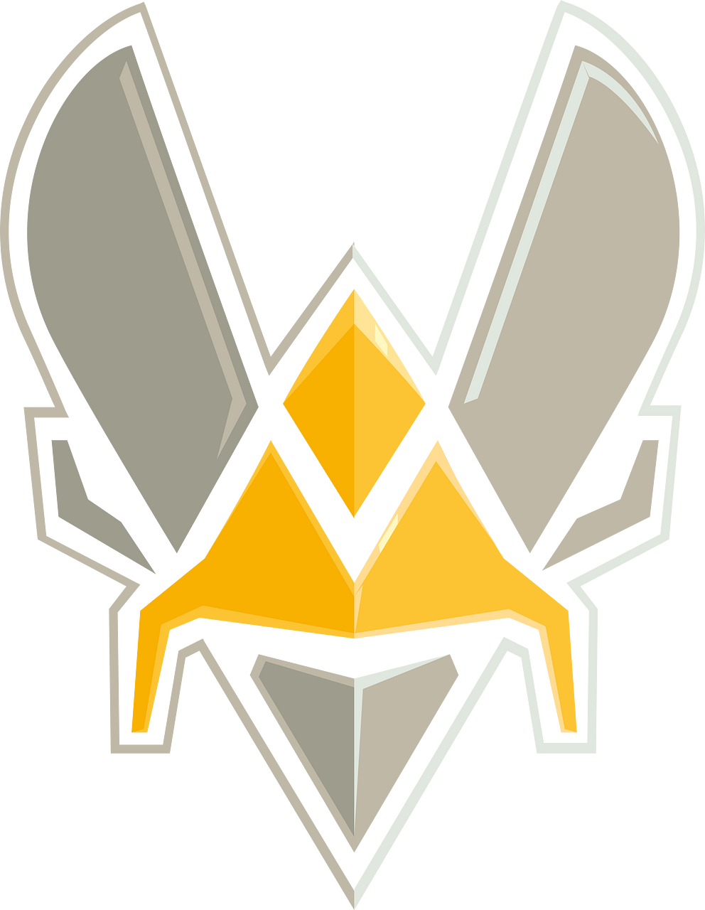 Team Vitality