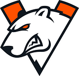 Virtus.pro
