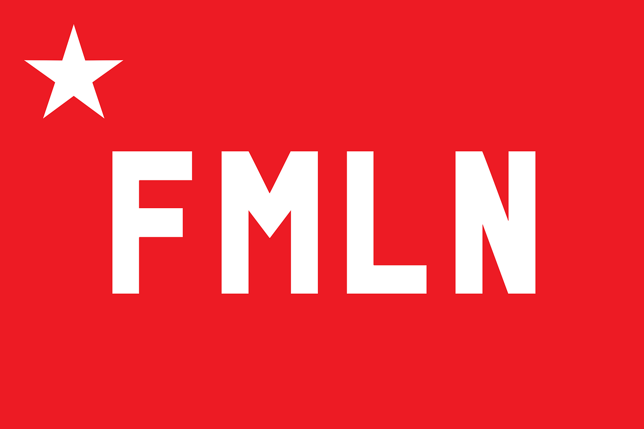 Frente Farabundo Martí para la Liberación Nacional