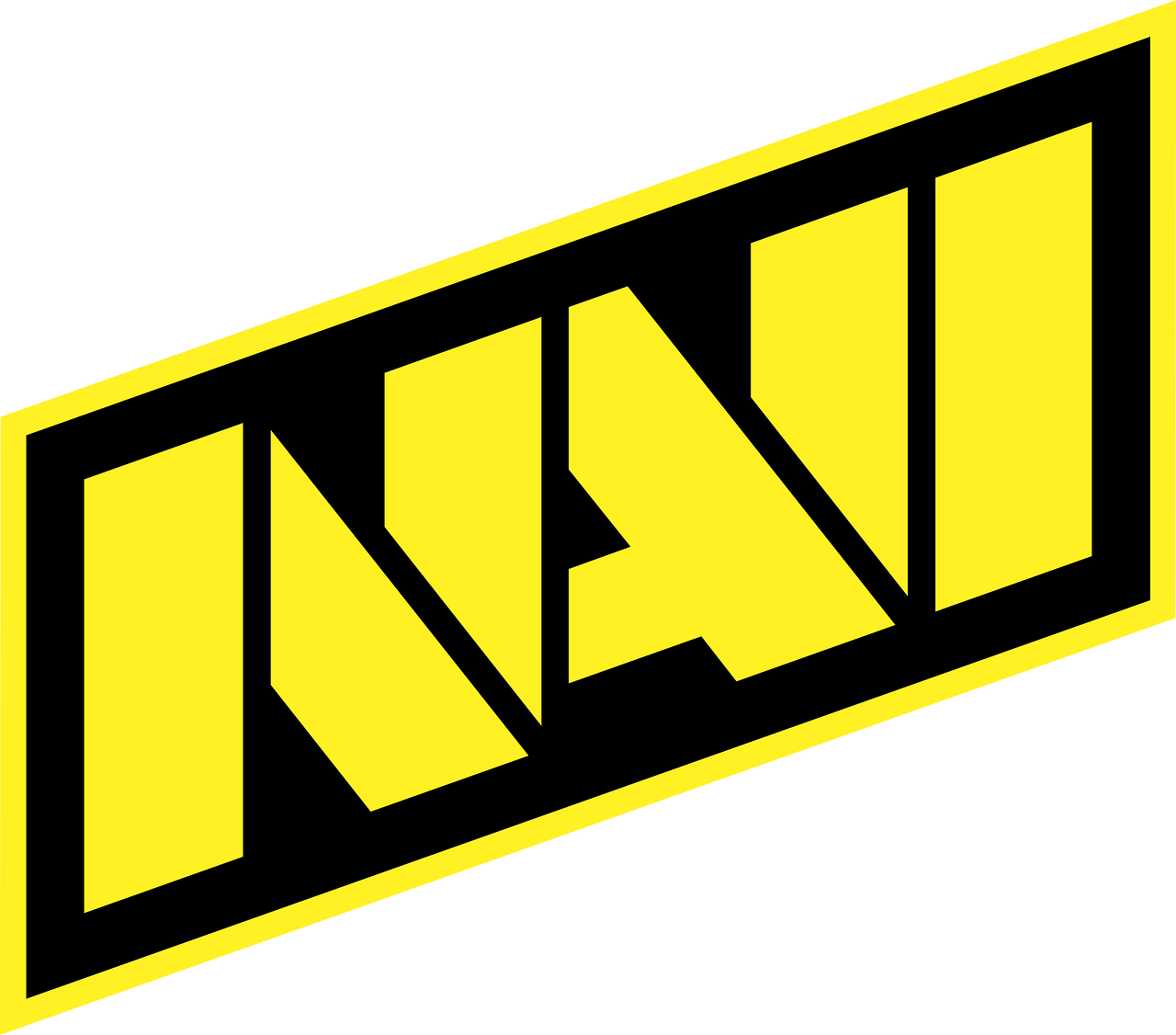 NAVI (Natus Vincere)