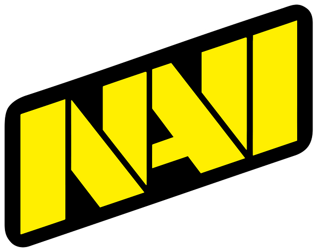 NAVI (Natus Vincere)
