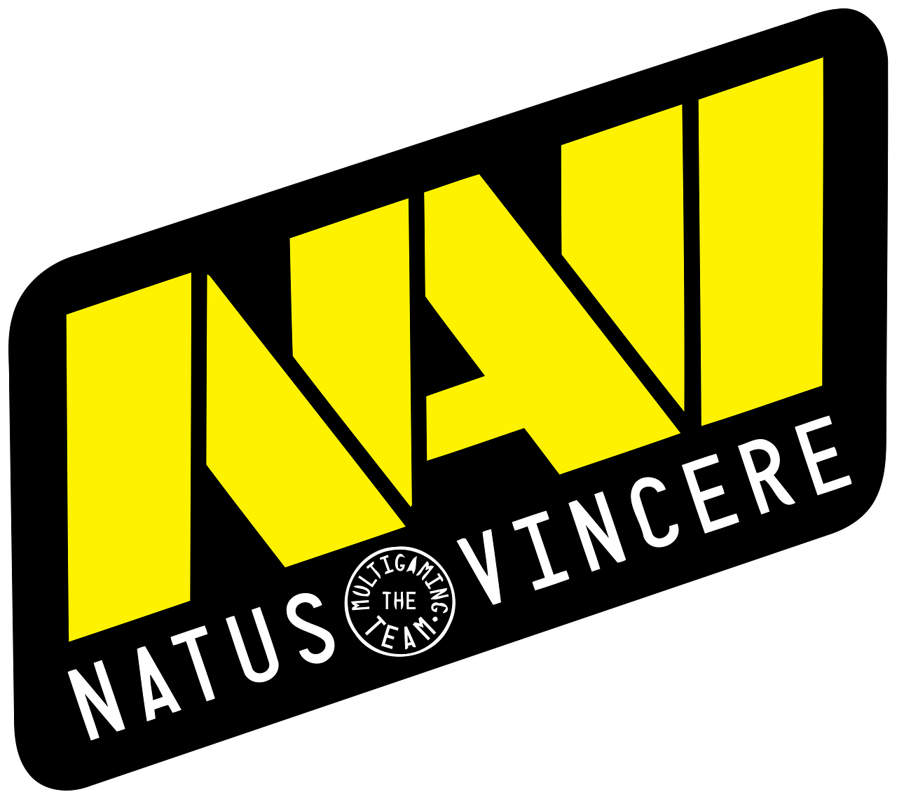 NAVI (Natus Vincere)
