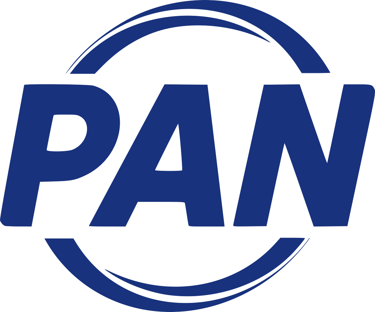 Partido Acción Nacional