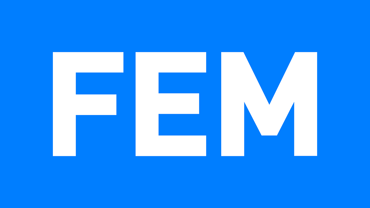 FEM