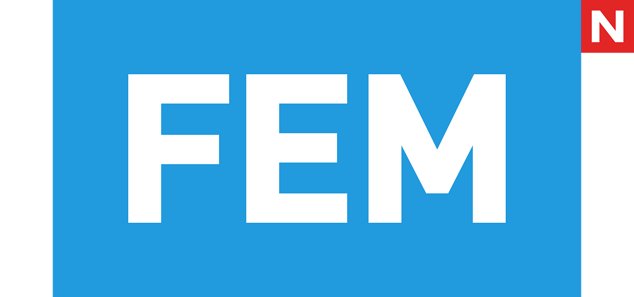 FEM