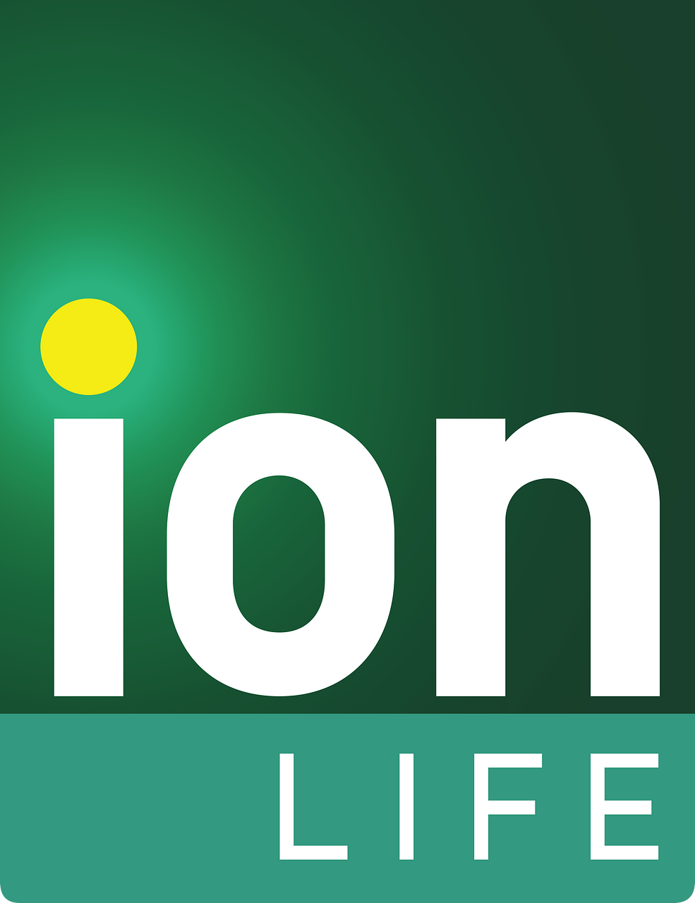 Ion Plus