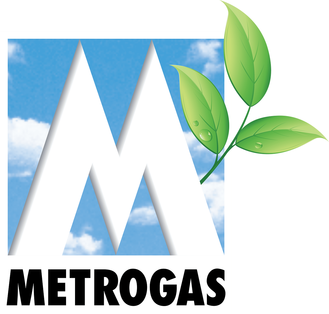 Metrogas
