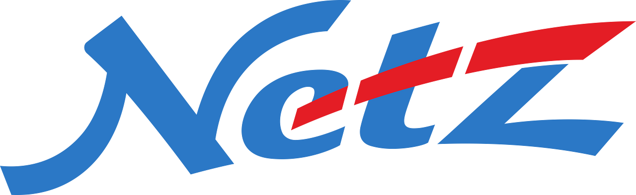 Toyota Netz
