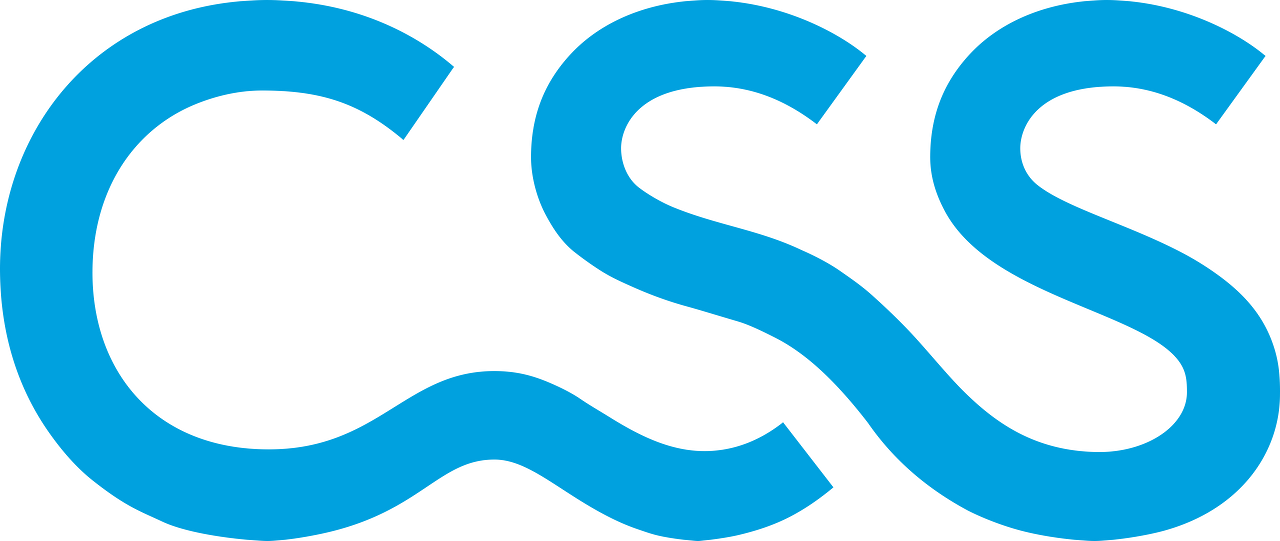 CSS (insurance company)