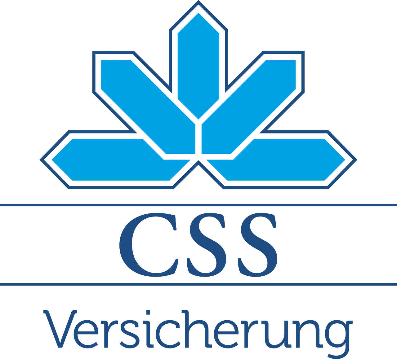 CSS (insurance company)