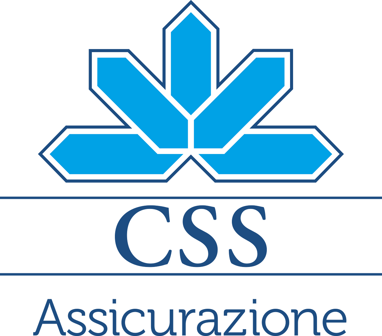 CSS (insurance company)