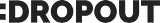 Dropout