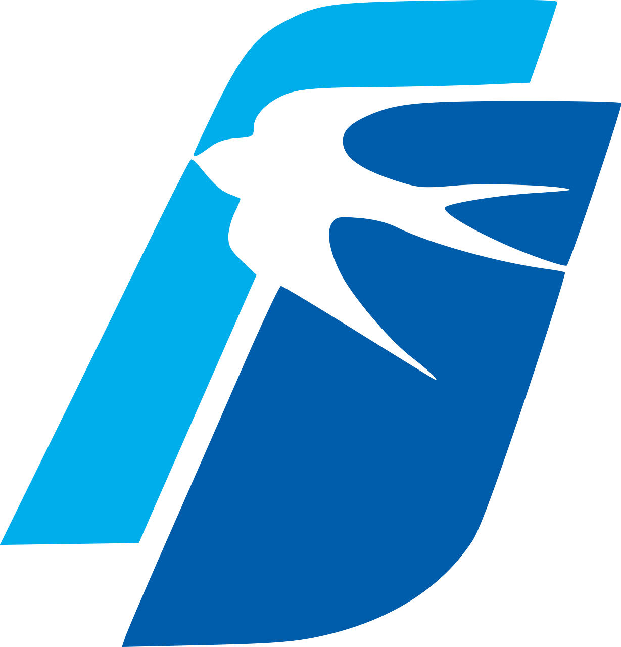 SkyJet Airlines