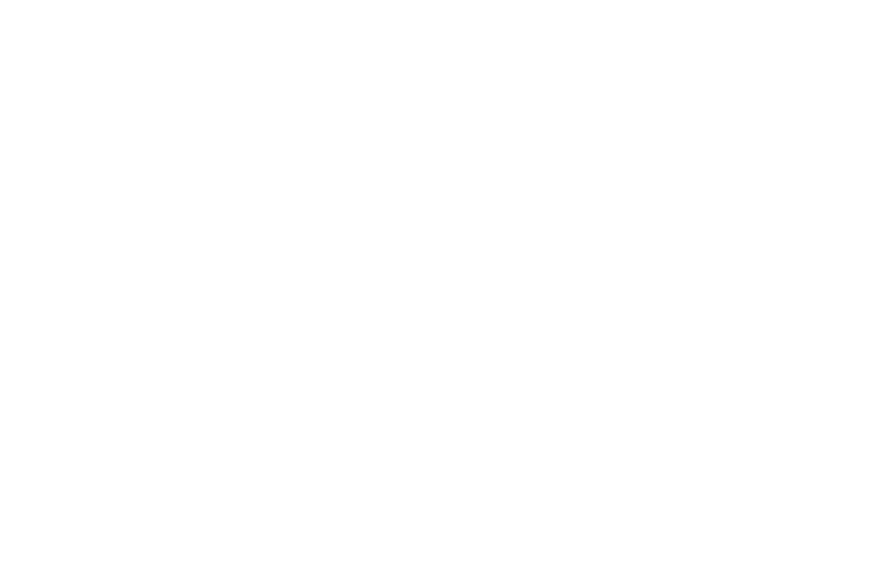 Gini Pay