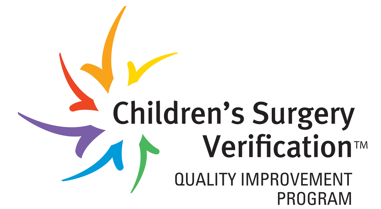 Children's Surgery Verification