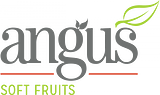 Angus Soft Fruits