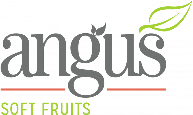 Angus Soft Fruits