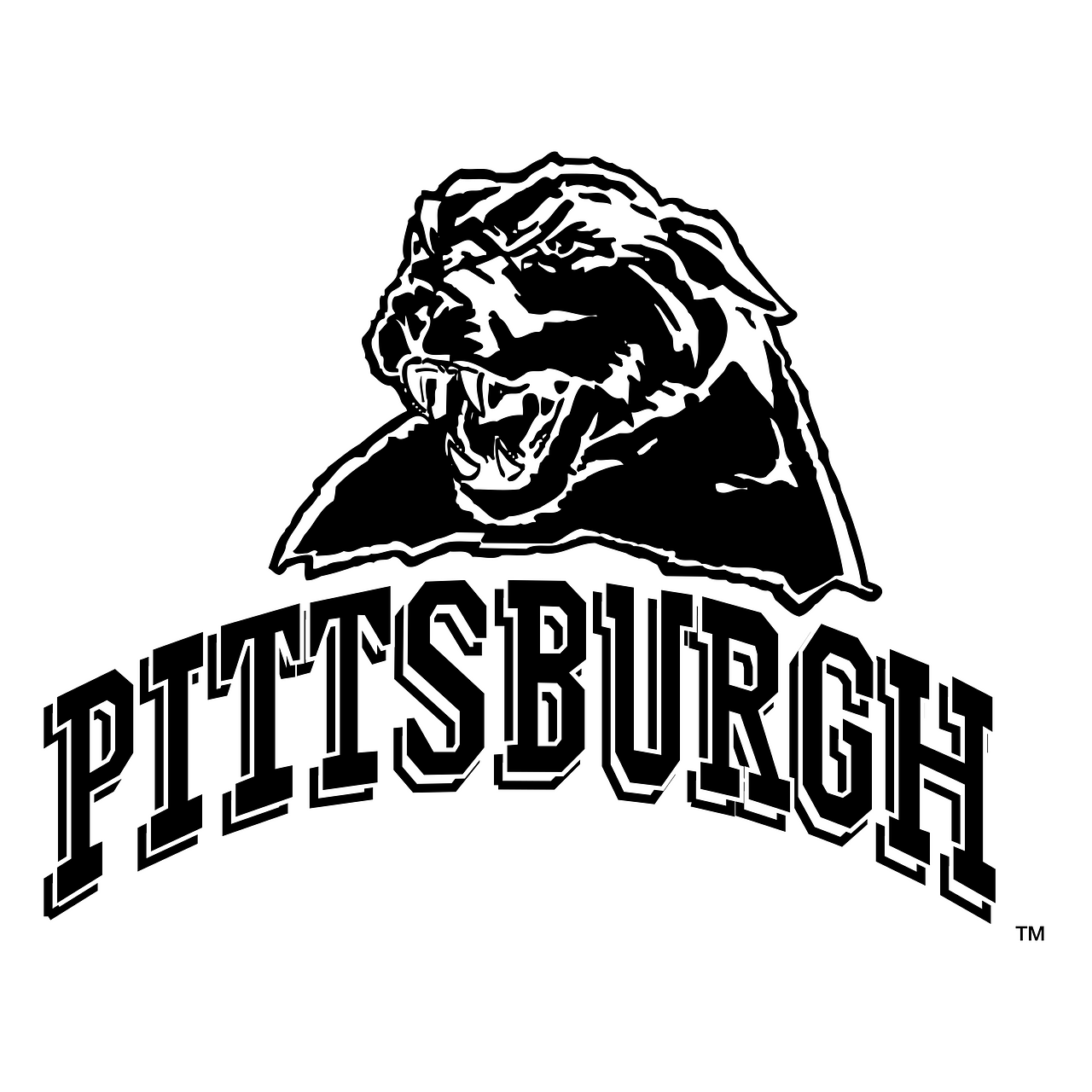Pittsburgh Panthers