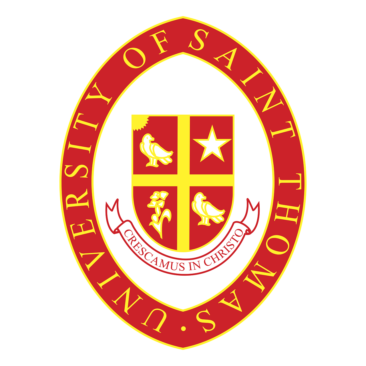 University of St. Thomas