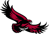 Saint Joseph's Hawks