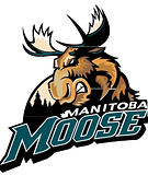 Manitoba Moose