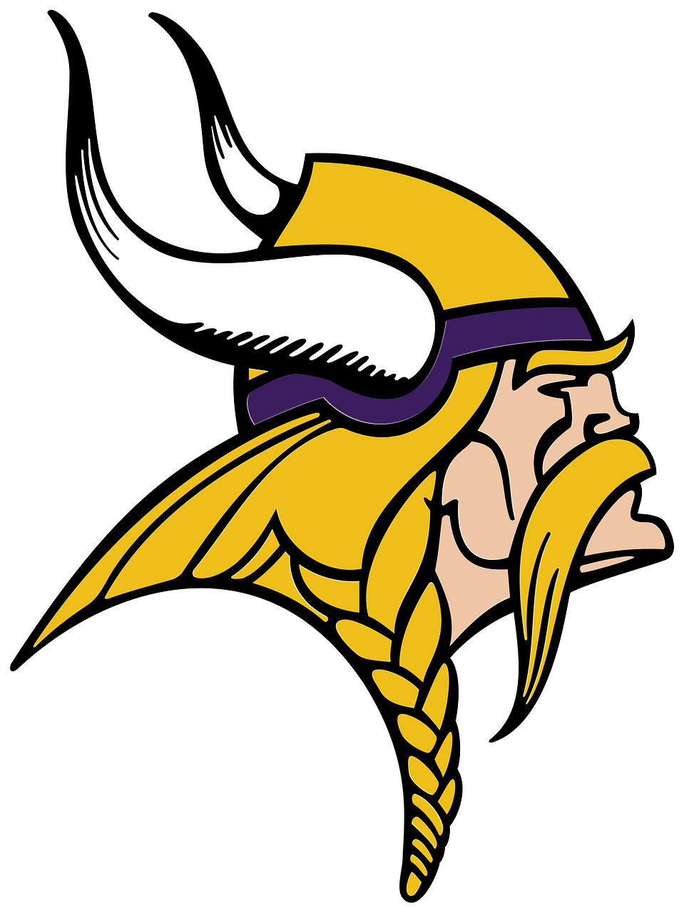 Minnesota Vikings