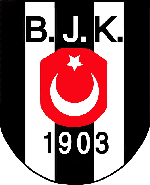 Beşiktaş JK