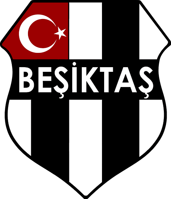 Beşiktaş JK